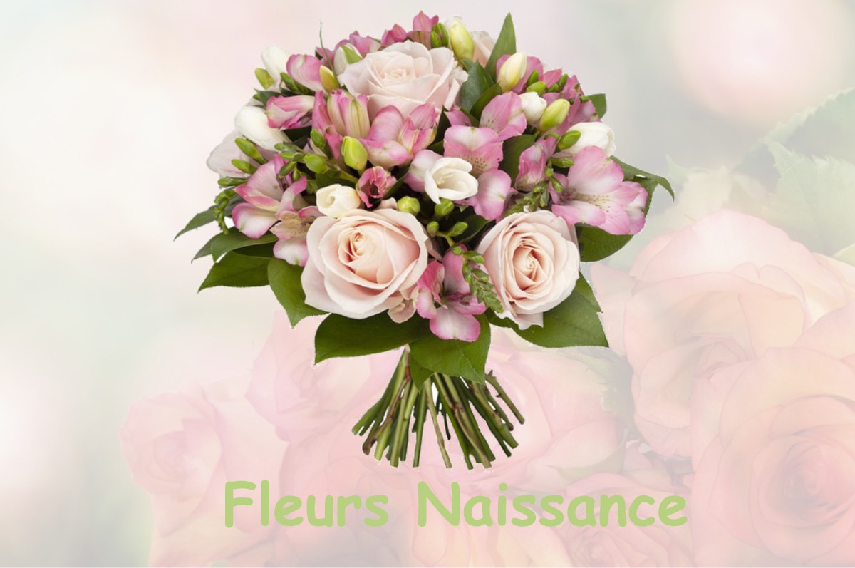 fleurs naissance PLUMONT