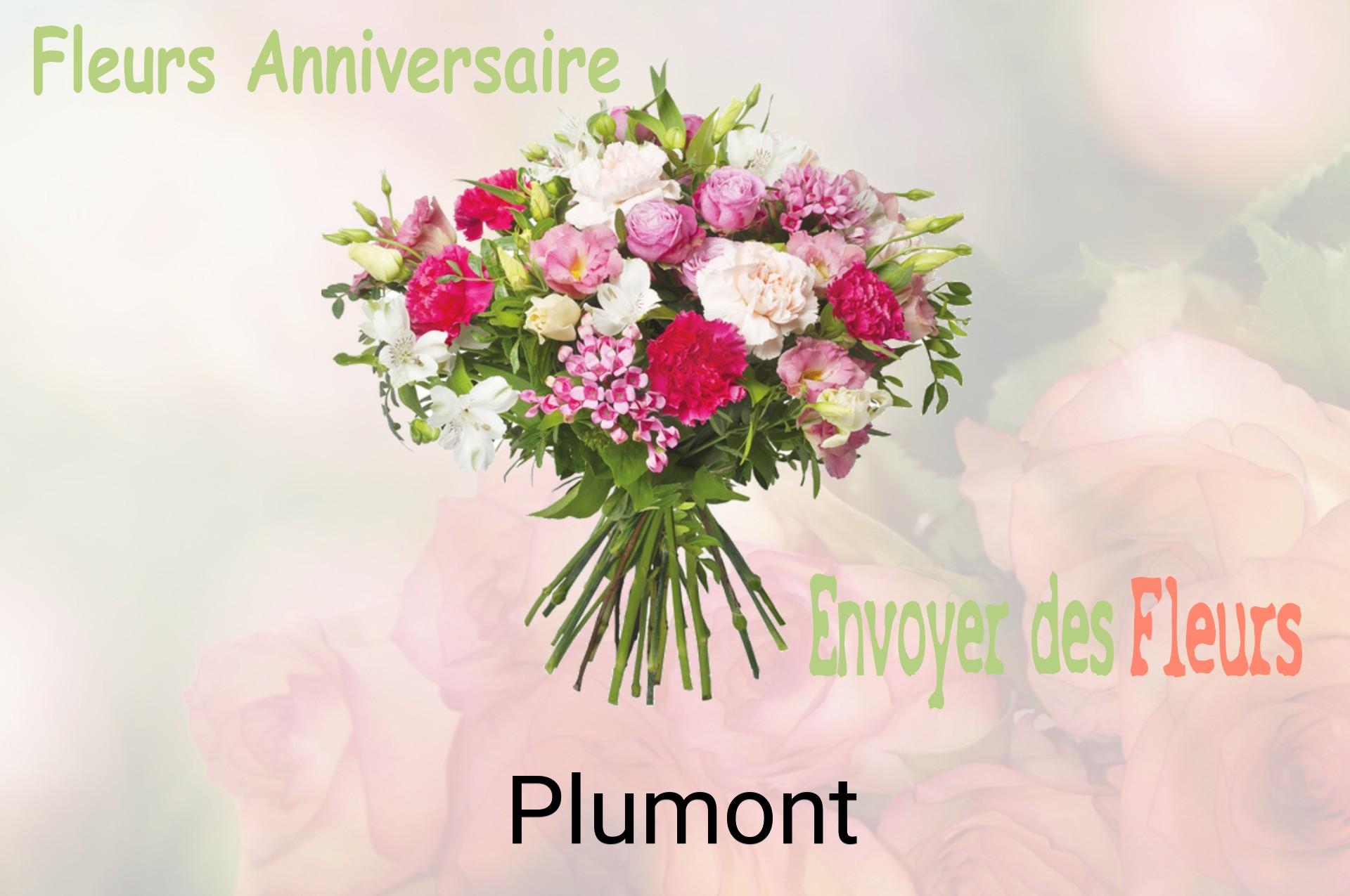 Bouquet de fleurs d’anniversaire livré à Plumont