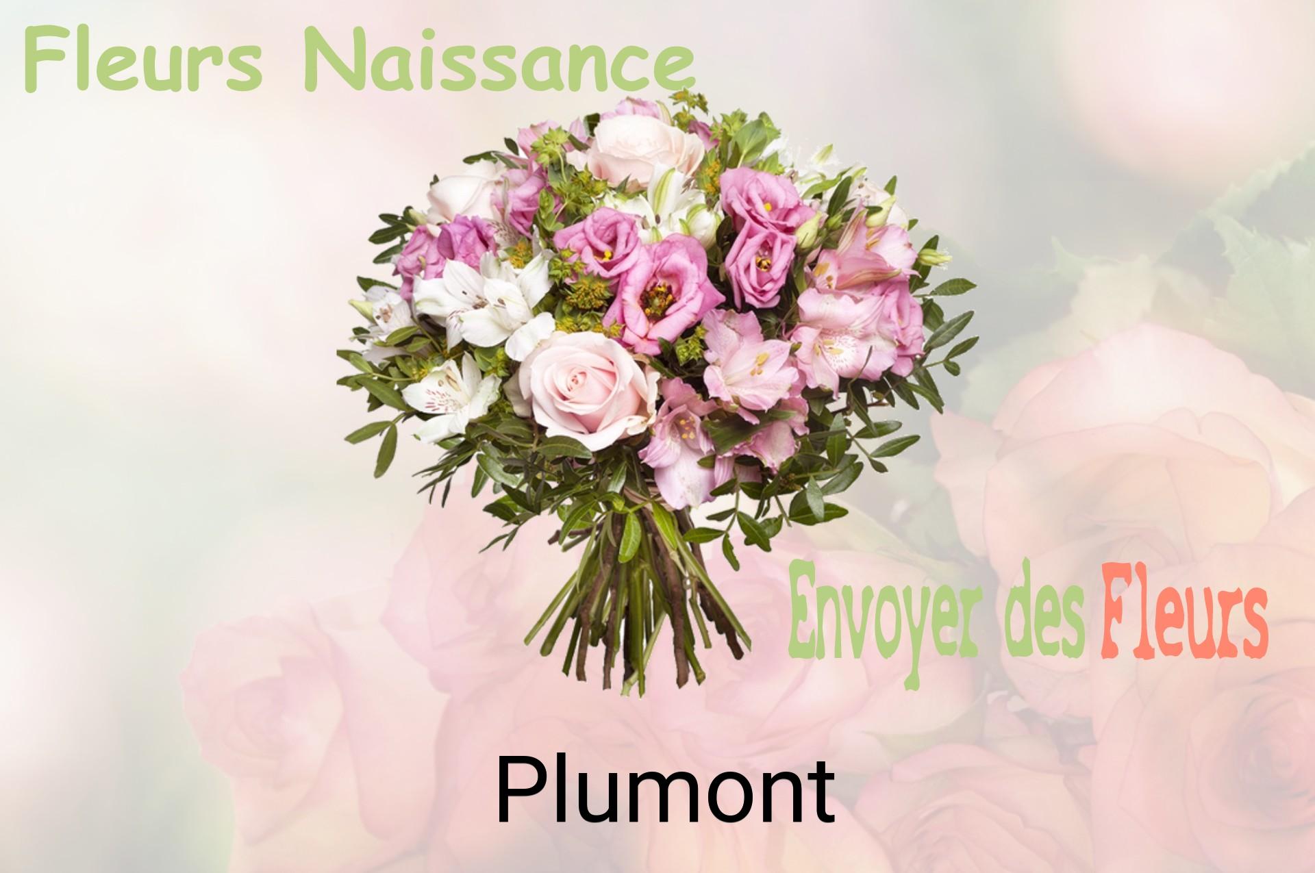 Bouquet de fleurs de naissance livré à Plumont