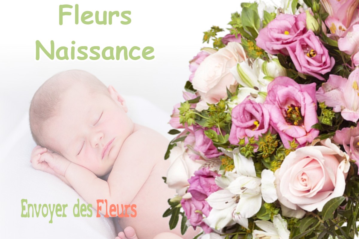 lIVRAISON FLEURS NAISSANCE à PLUMONT