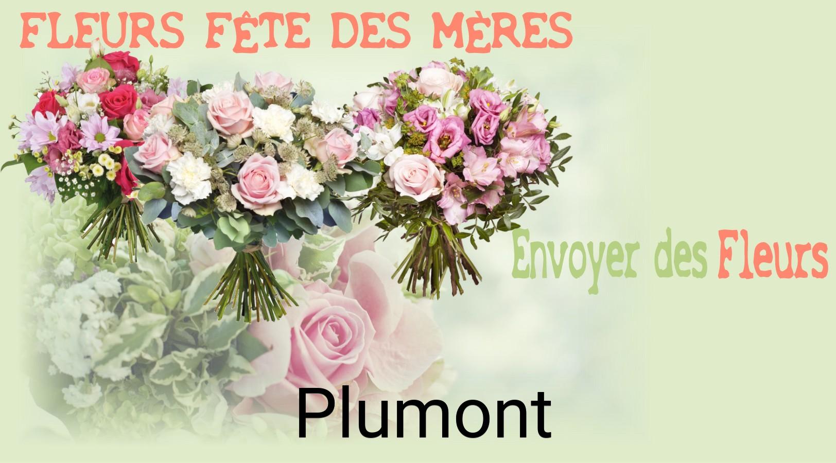 Bouquet de Fête des Mères livré à Plumont